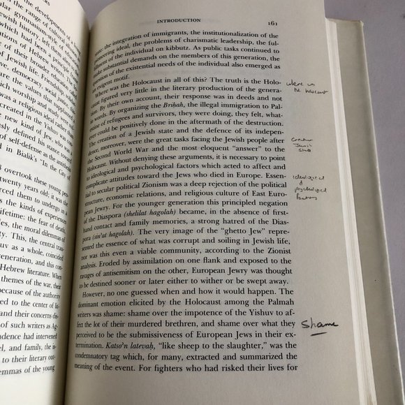 Hurban: Responses to Catastrophe in Hebrew Literature Hardcover by Alan Mintz - Picture 15 of 16